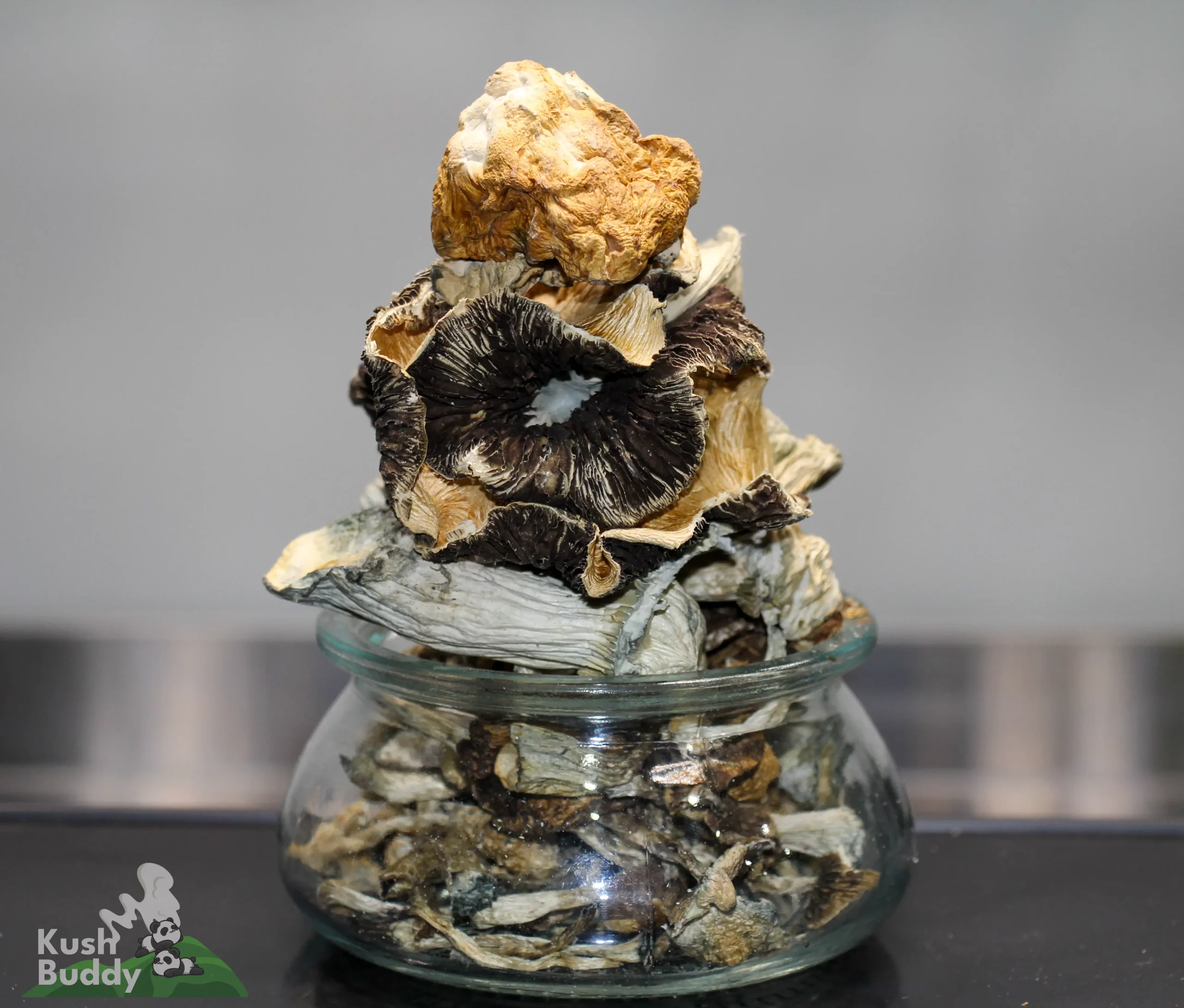 Bulk - Magic Mushrooms - Special Mix Batch - Image 2