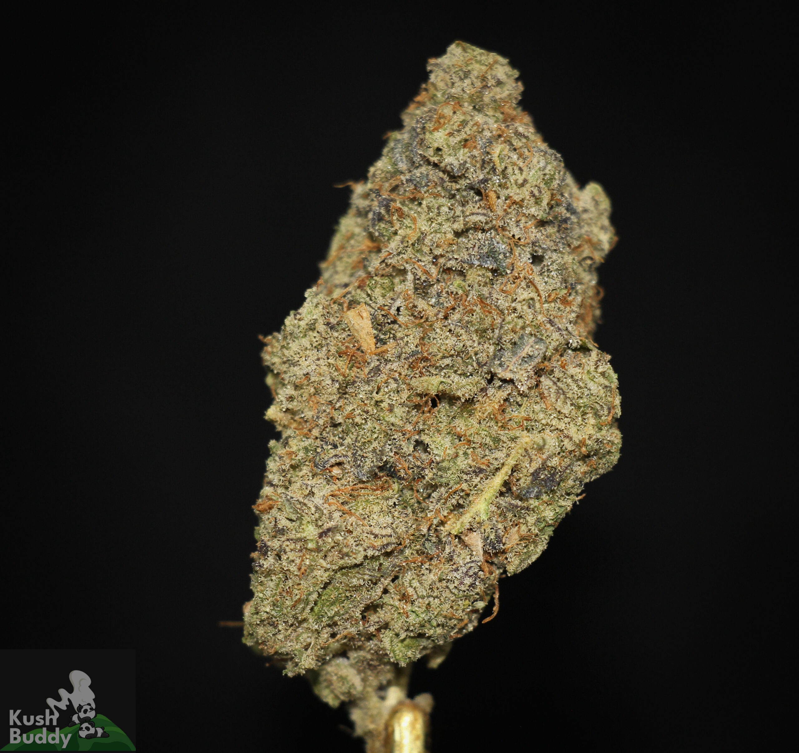 Buy Tiger Balm Online – Headwater Cannabis – Kush Buddy