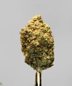 (AA+ - Bulk) Grape Ape (Smalls) - Image 2