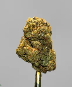 (AA+ - Bulk) Grape Ape (Smalls) - Image 3