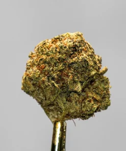 (AA+ - Bulk) Grape Ape (Smalls) - Image 4