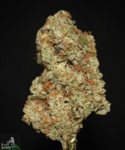 Black Series - Georgia Pie - Image 3