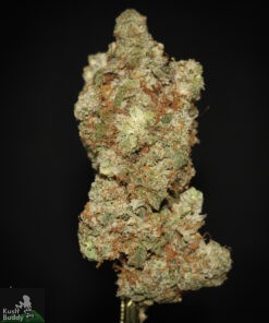 Black Series - Georgia Pie