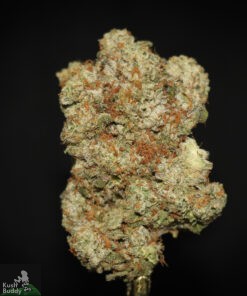 Black Series - Georgia Pie - Image 2