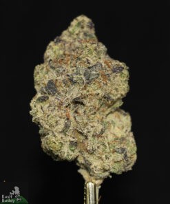 Black Series - Mother's Milk