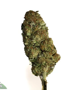 (AAA-) Blue Dream
