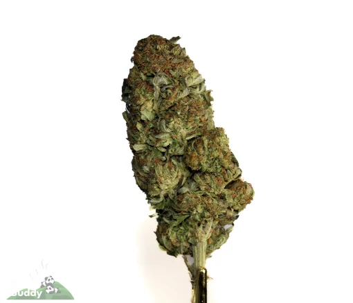 (AAA-) Blue Dream