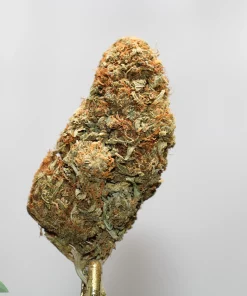Close-up cannabis bud with orange pistils and frosty trichomes against a pale background; Kush Buddy logo in bottom-left corner.