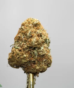 Close-up of a cannabis bud with orange pistils and frosty trichomes on a metal stem, against a plain gray background.