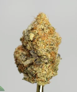 Dense Cannabis Bud