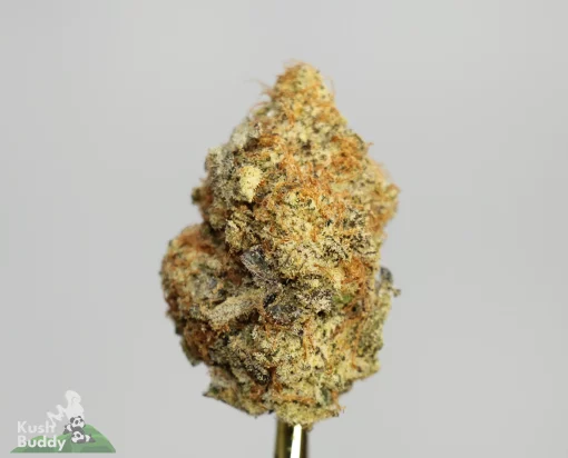 Dense Cannabis Bud