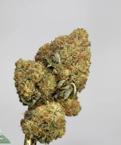 (AAA+) Super Runtz OG - Image 2