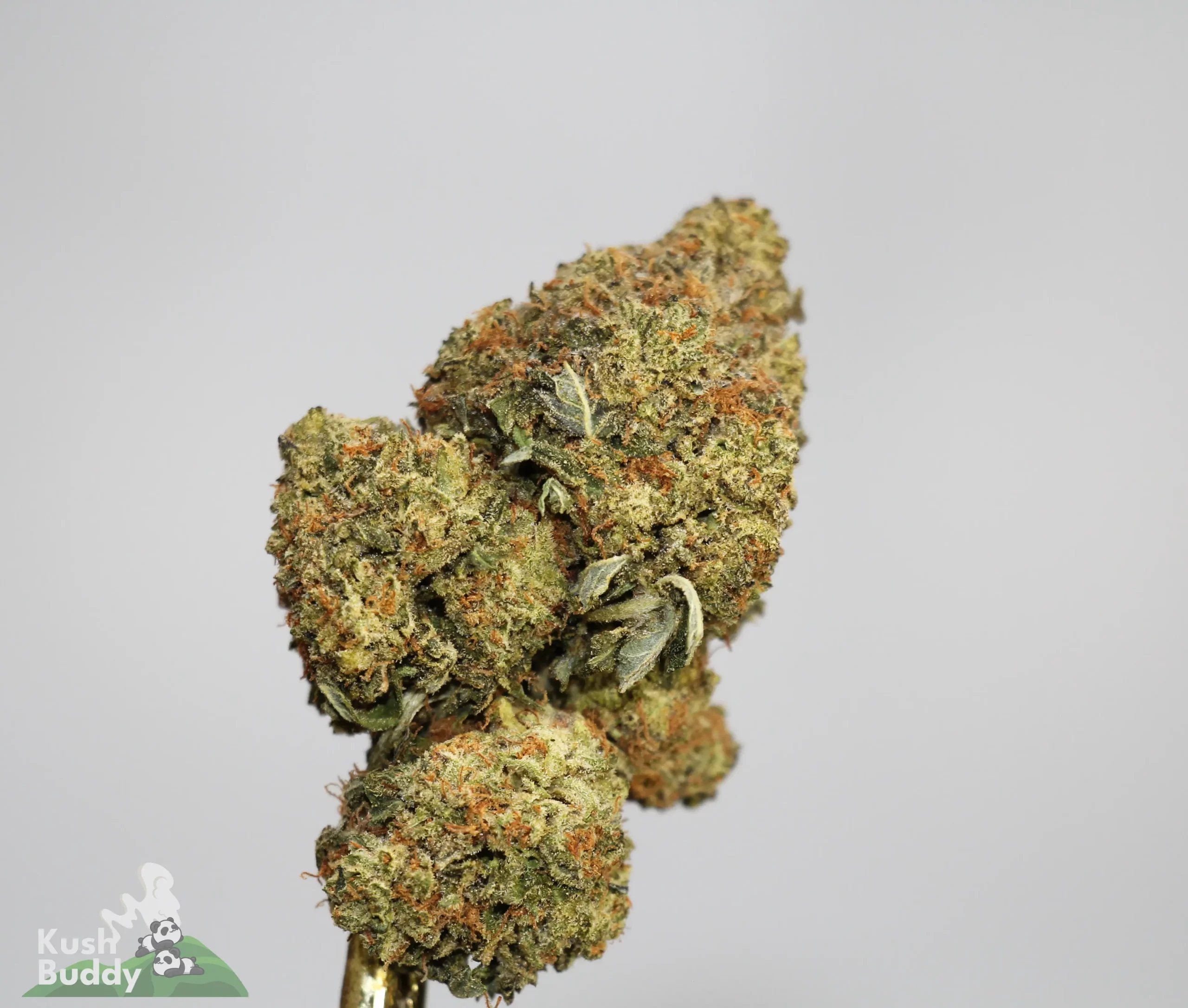 (AAA+) Super Runtz OG - Image 2