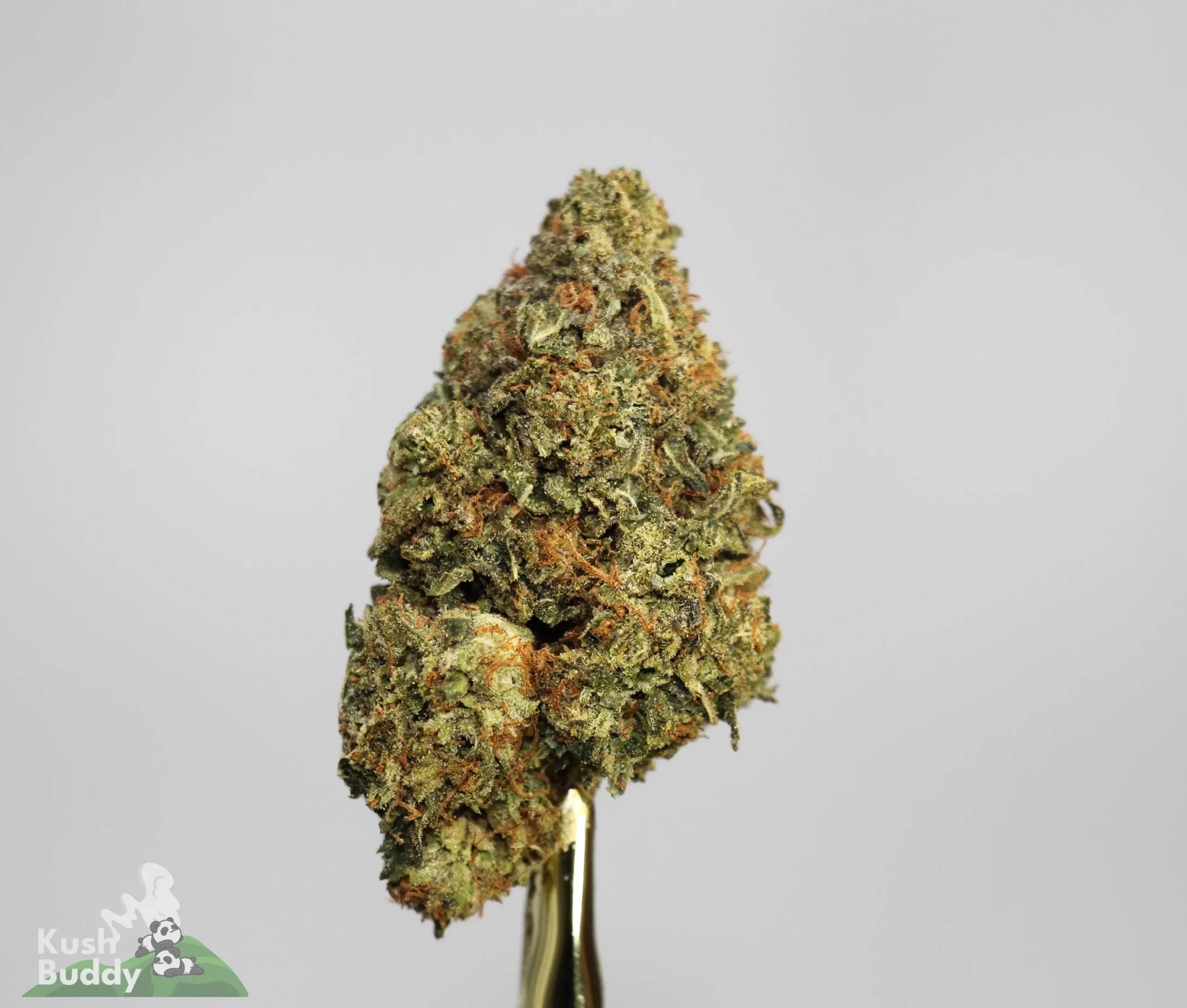 (AAA+) Super Runtz OG