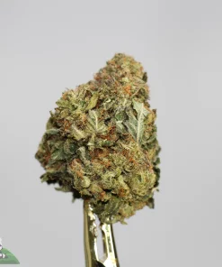 (AAA+) Super Runtz OG - Image 3