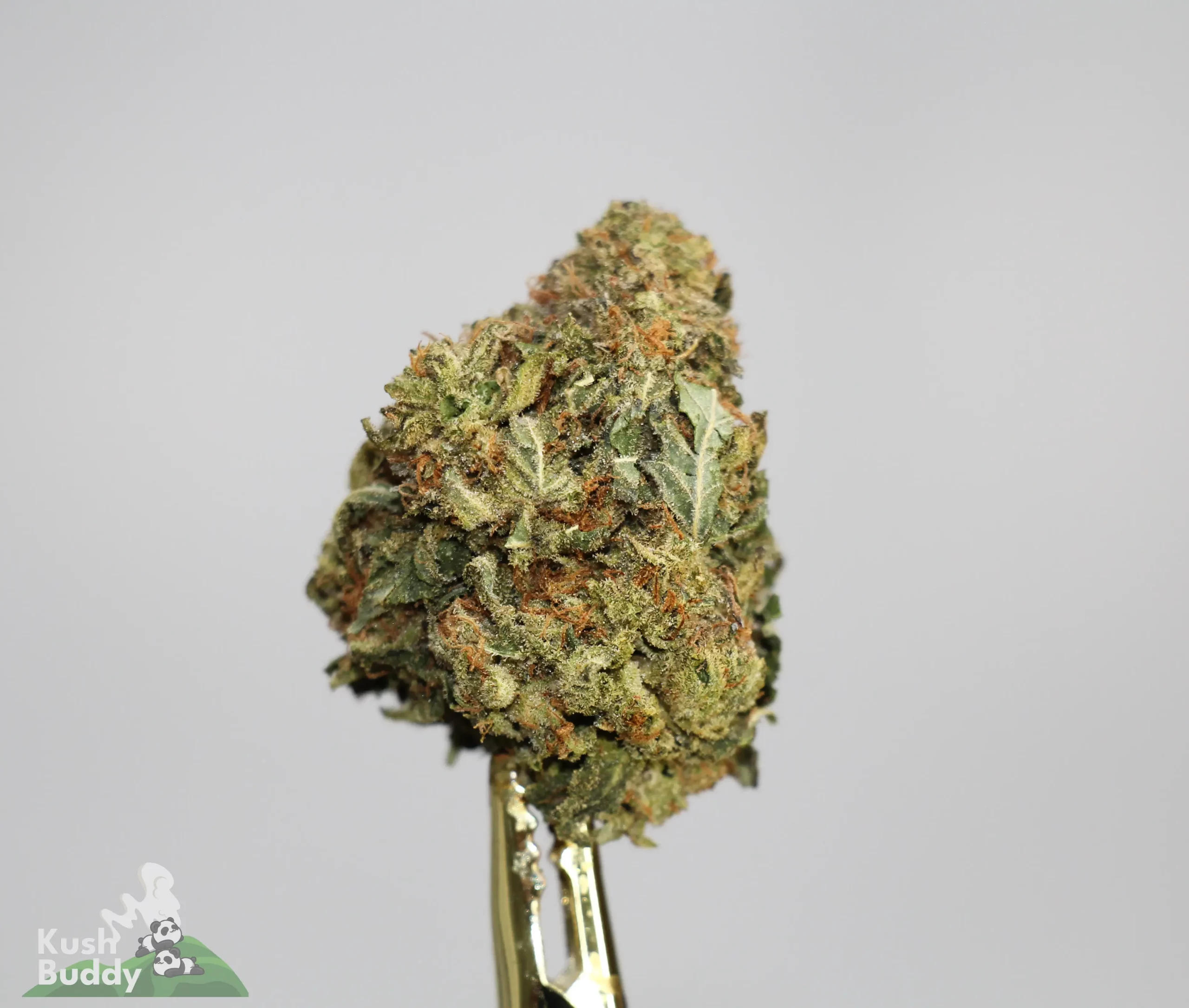 (AAA+) Super Runtz OG - Image 3