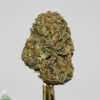 (AAA+) Bruce Banner
