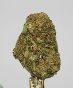 (AAA) Pink Candy - Image 3