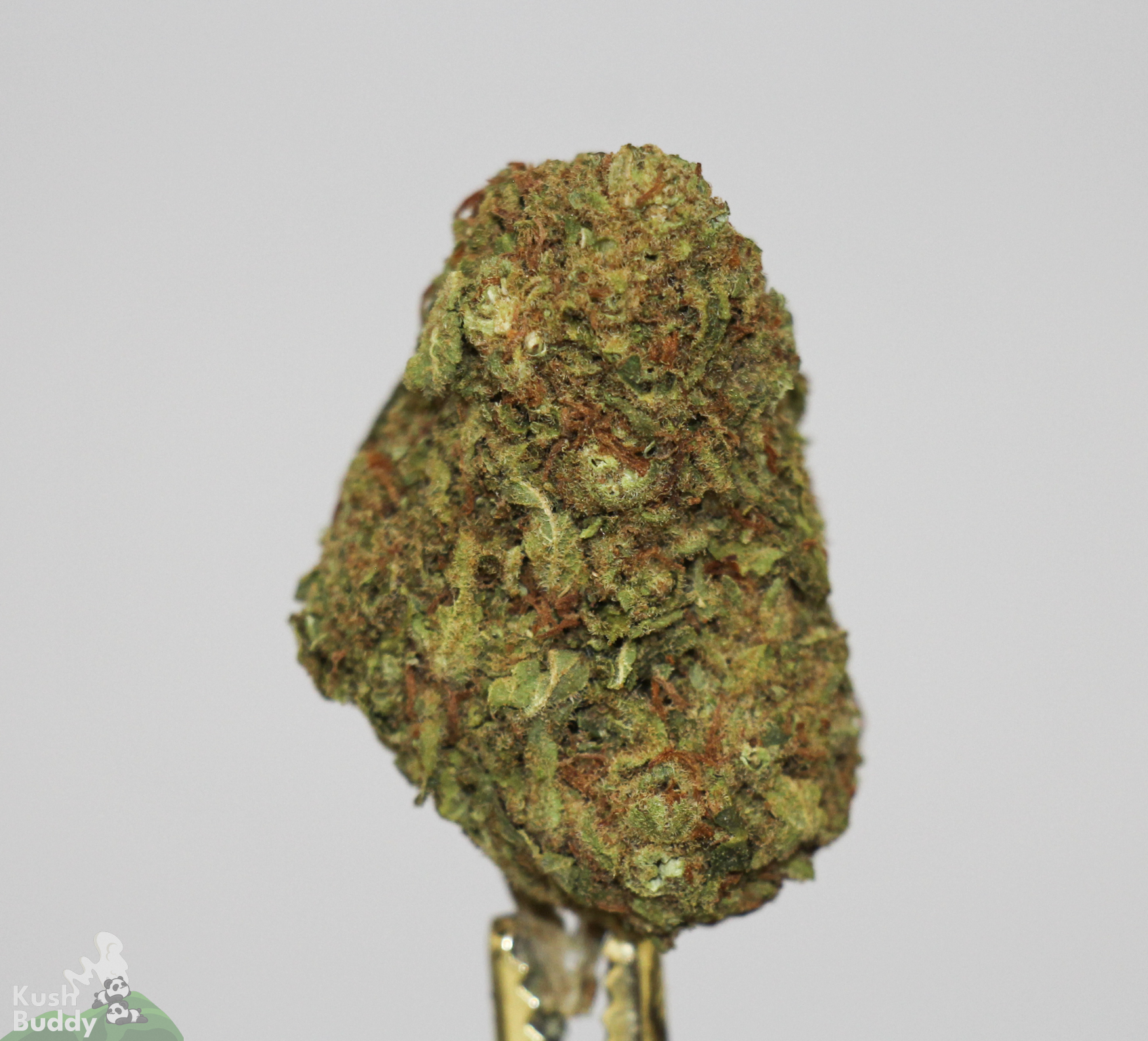 (AAA) Pink Candy - Image 3