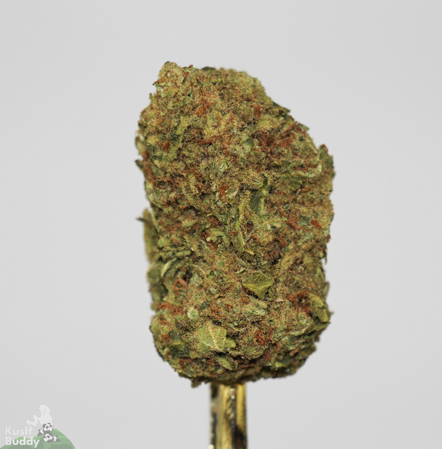 (AAA) Pink Candy