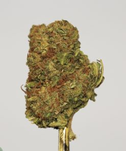 (AAA) Pink Candy - Image 2