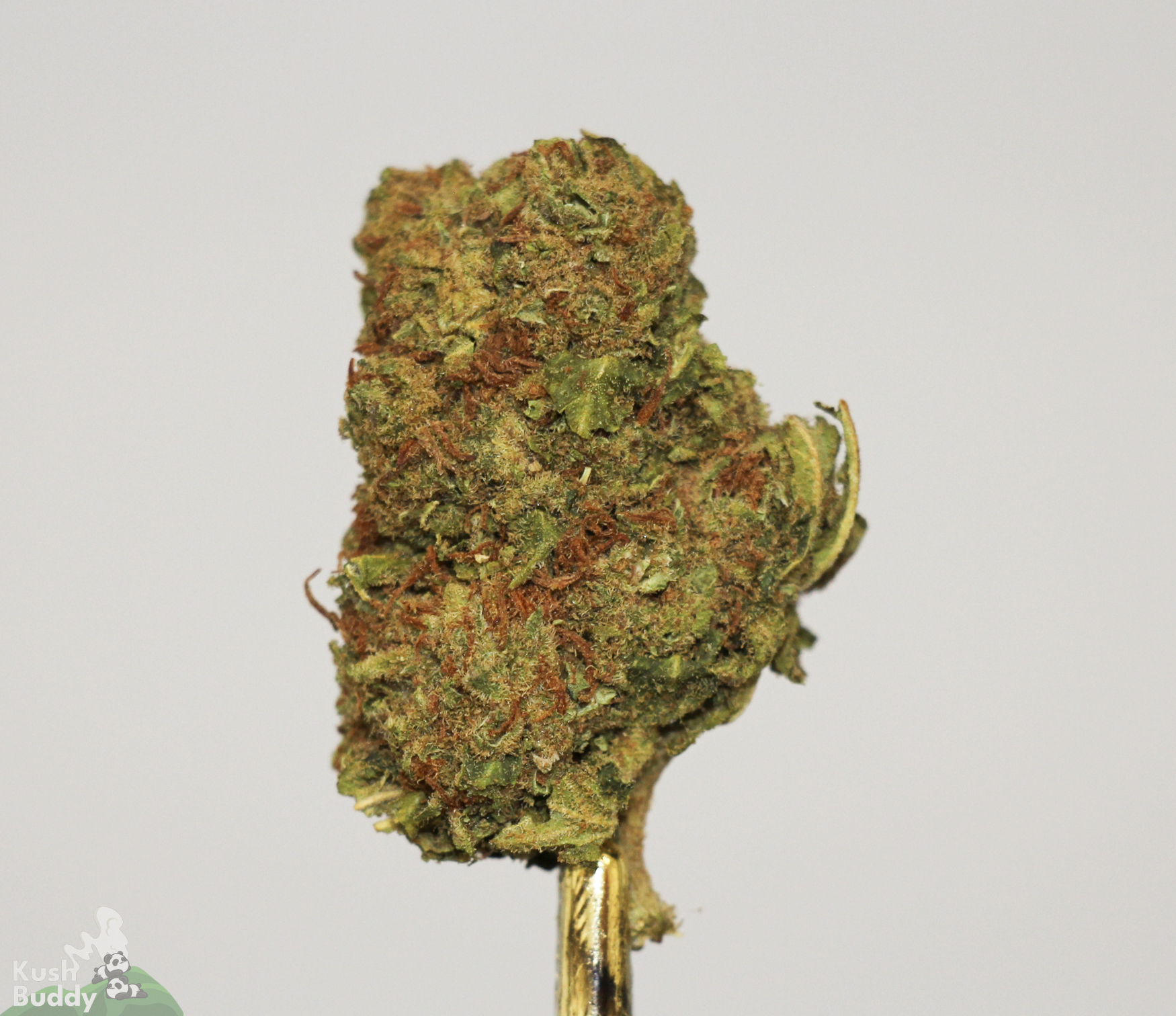 (AAA) Pink Candy - Image 2