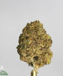 (AAA+ - Bulk) Boo Chocula - Image 2