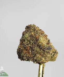 (AAA+ - Bulk) Boo Chocula - Image 3