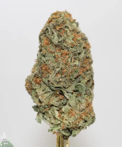 Black Series - Apple Fritter - Image 2