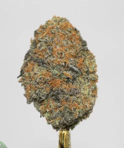 Black Series - Apple Fritter - Image 3