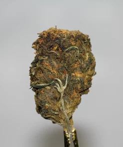 (AA+) Black Diesel