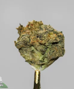 (AA+) Black Diesel - Image 2