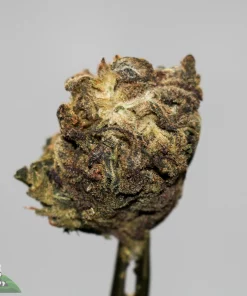 (AA+) Black Diesel - Image 3