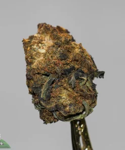 (AA+) Black Diesel - Image 4