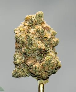 (AAA+ - Bulk) Lindsay OG - Image 2