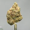 (AAA+ - Bulk) Lindsay OG