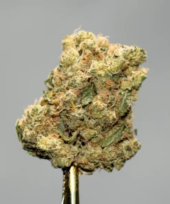 (AAA+ - Bulk) Lindsay OG - Image 3