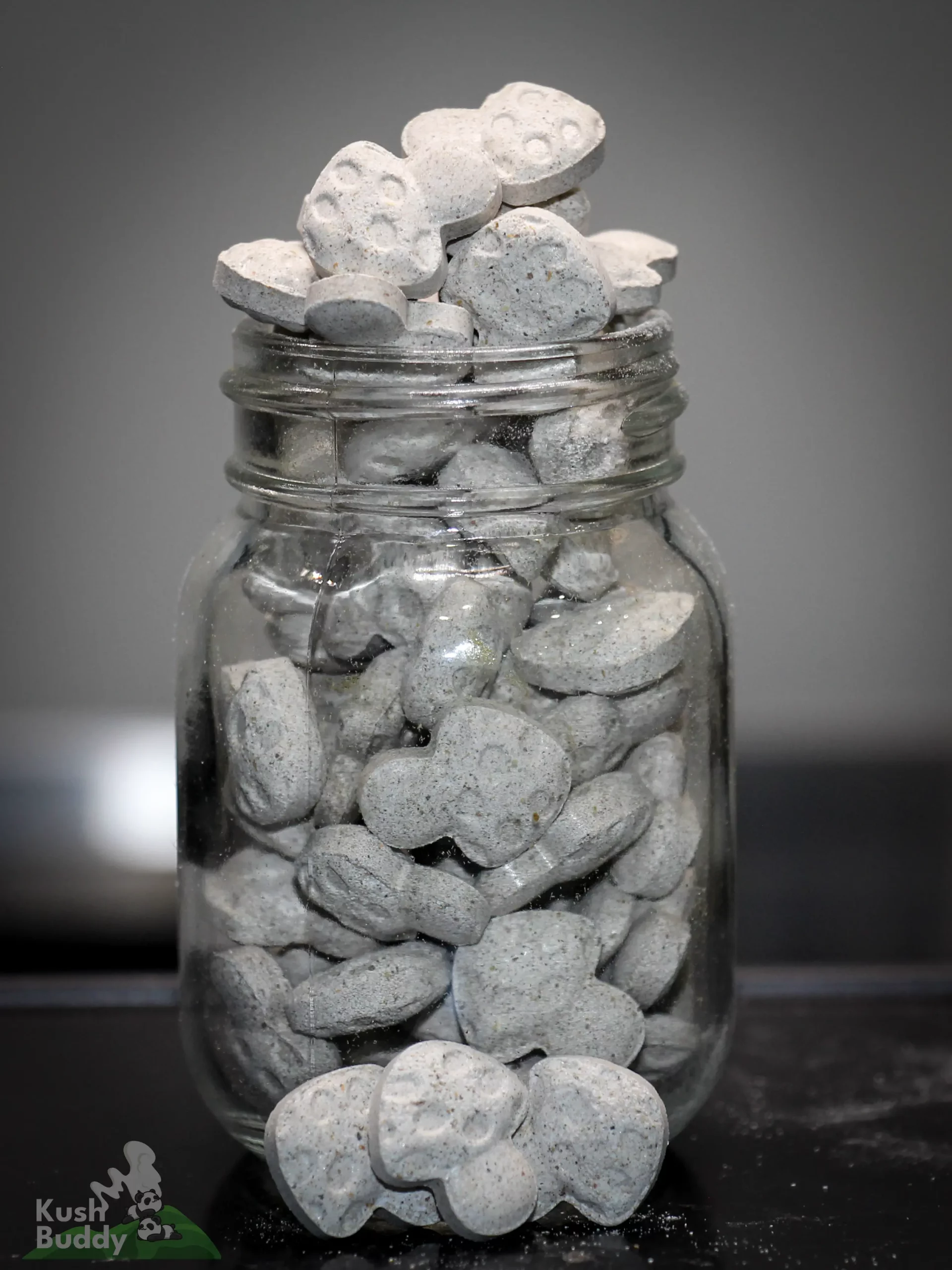 Zoombuddy - Microdose Mushroom Pills (1000mg) - Image 2