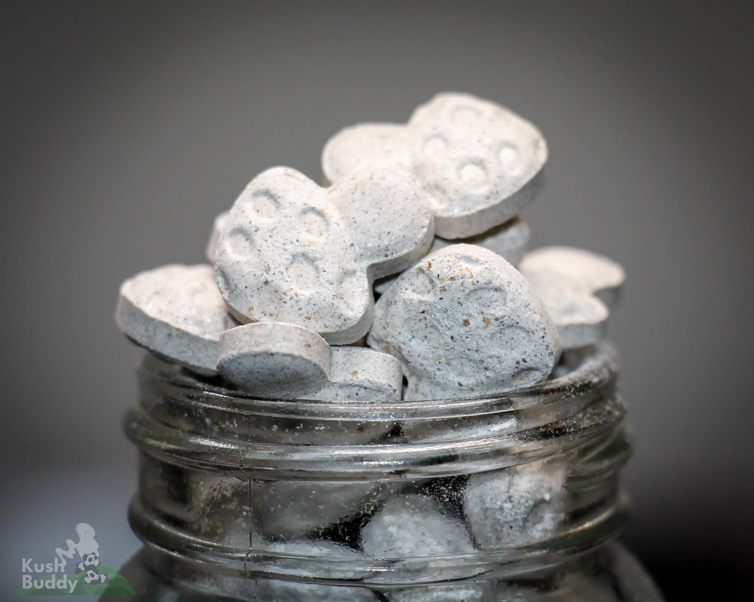 Zoombuddy - Microdose Mushroom Pills (1000mg)