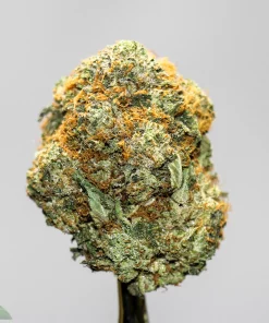 Black Series - Bulk - MK Ultra - Image 2