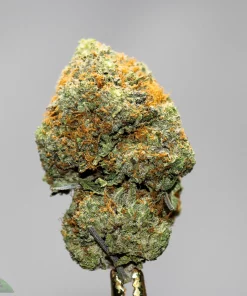 Black Series - Bulk - MK Ultra