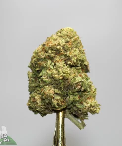Close-up of a green cannabis bud with orange hairs on a gold stem, Kush Buddy logo visible bottom-left.