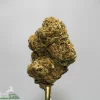 Close-up of a dense cannabis bud with green and orange hues, resting on a metal device against a gray background, with a Kush Buddy watermark in the corner.