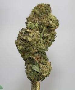 Close-up of a cannabis nugget with green buds and frosty trichomes; Kush Buddy logo in the bottom-left corner. (informative image)