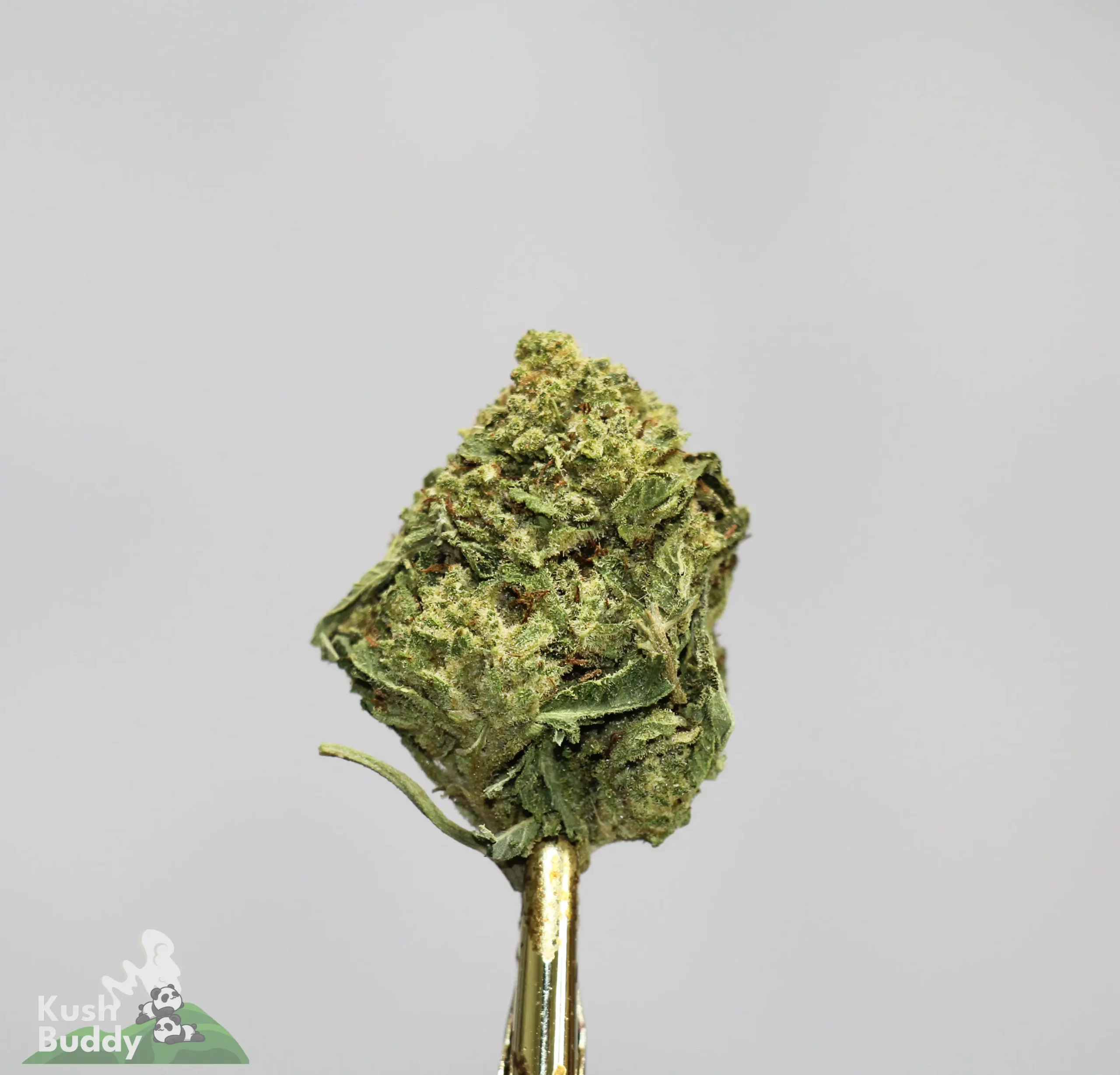 (AAA) Triple Threat Mix - Image 6