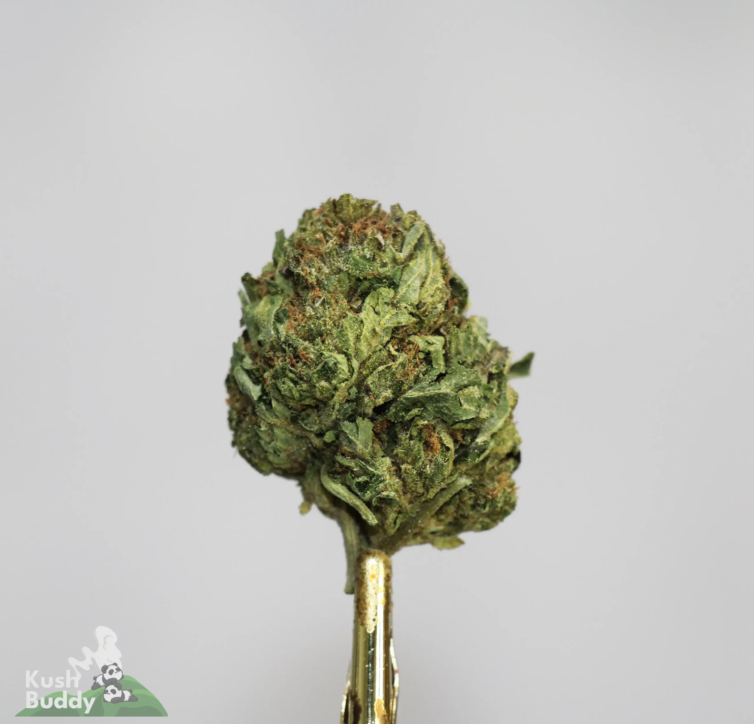 (AAA) Triple Threat Mix - Image 5