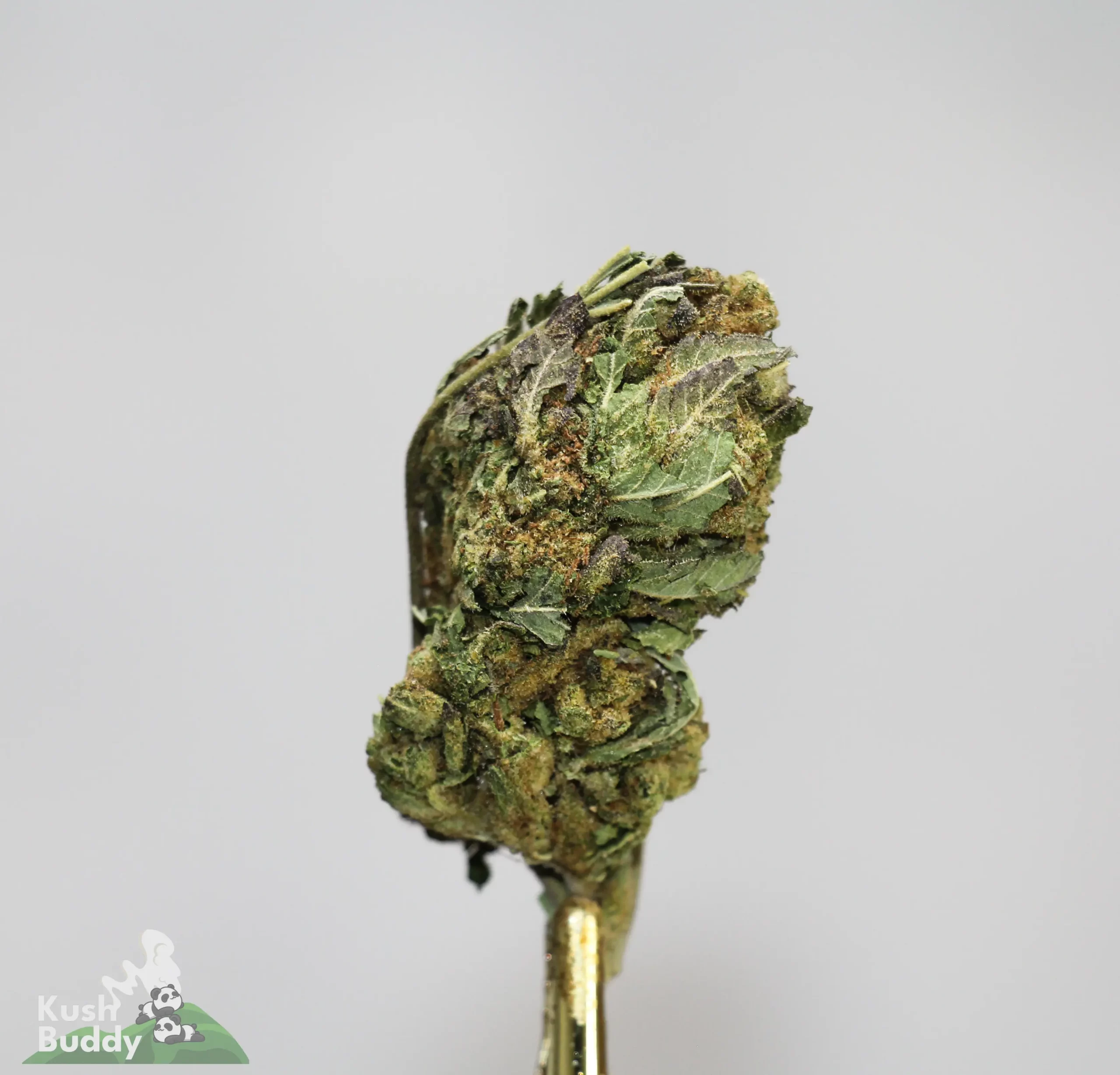 (AAA) Triple Threat Mix - Image 4