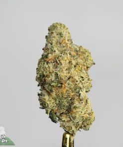(AAA - Bulk) Cinderella 99 - Image 3