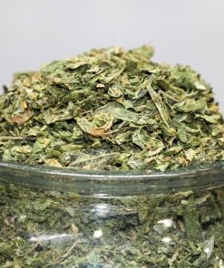 Close-up of green cannabis buds piled on top of a glass jar, showing leafy, dried plant material.