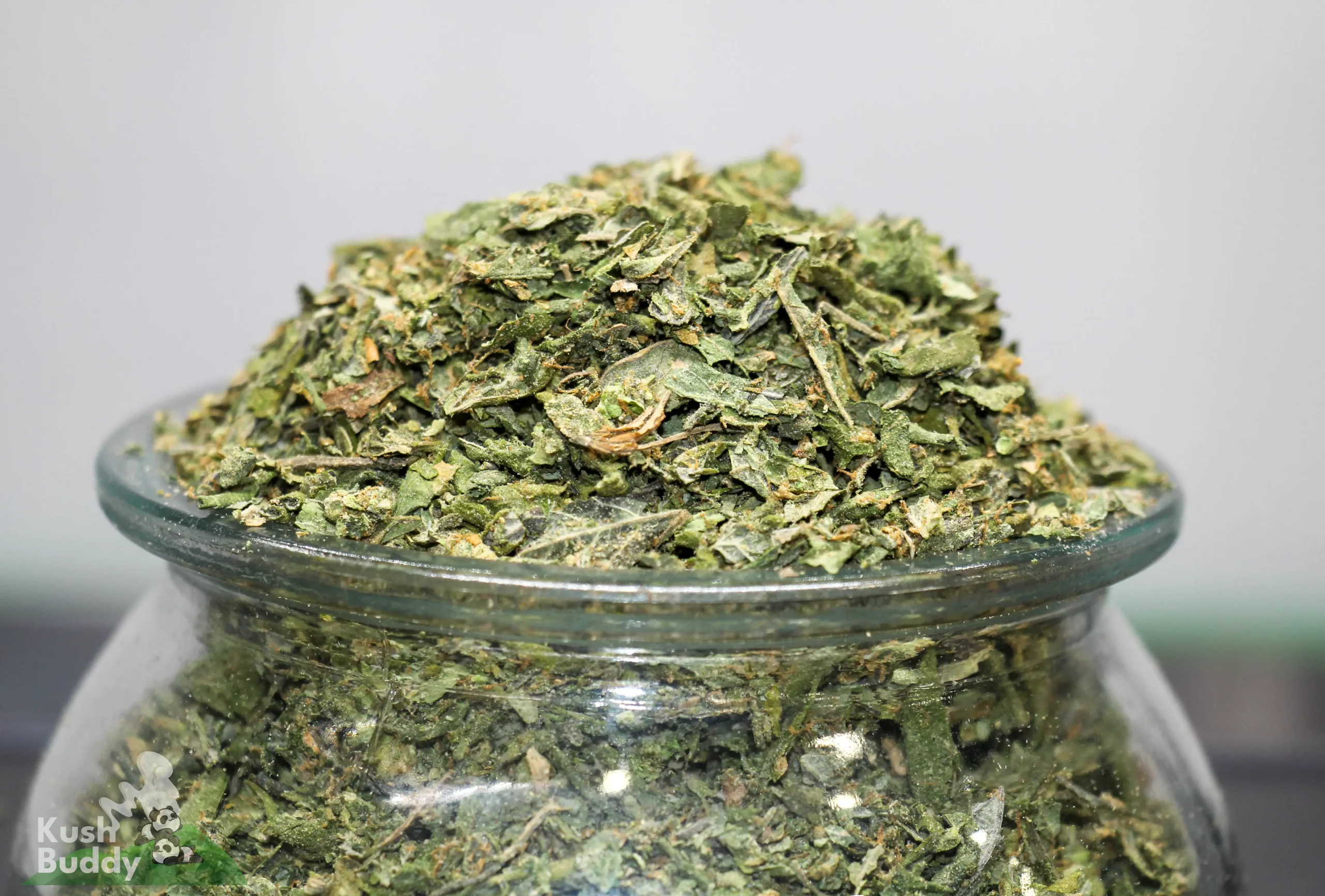 Close-up of green cannabis buds piled on top of a glass jar, showing leafy, dried plant material.